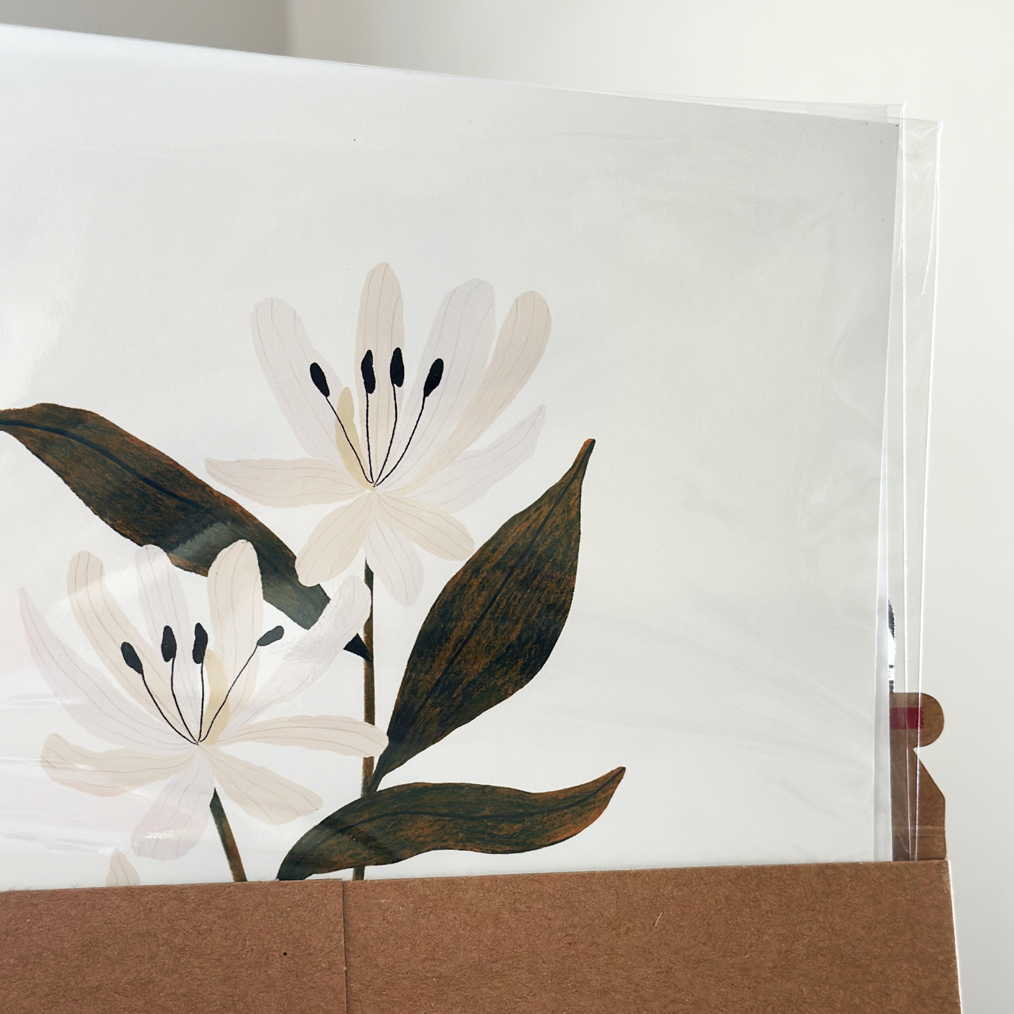 Botanical Print Collection