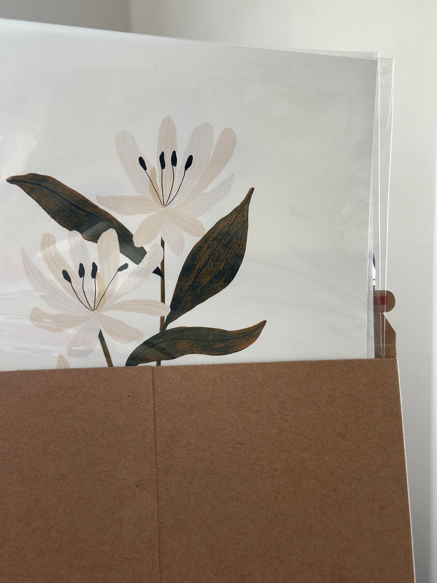 Botanical Print Collection