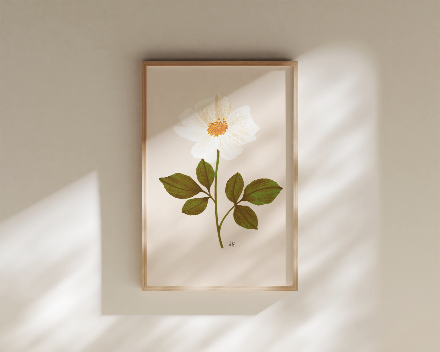 Botanical Print Collection