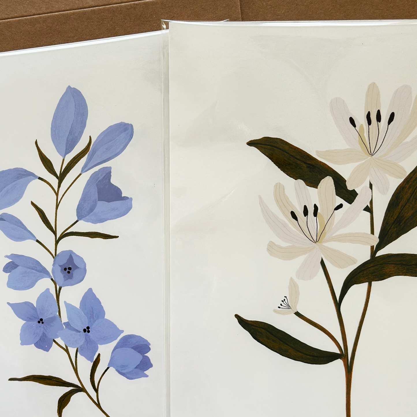 Botanical Print Collection