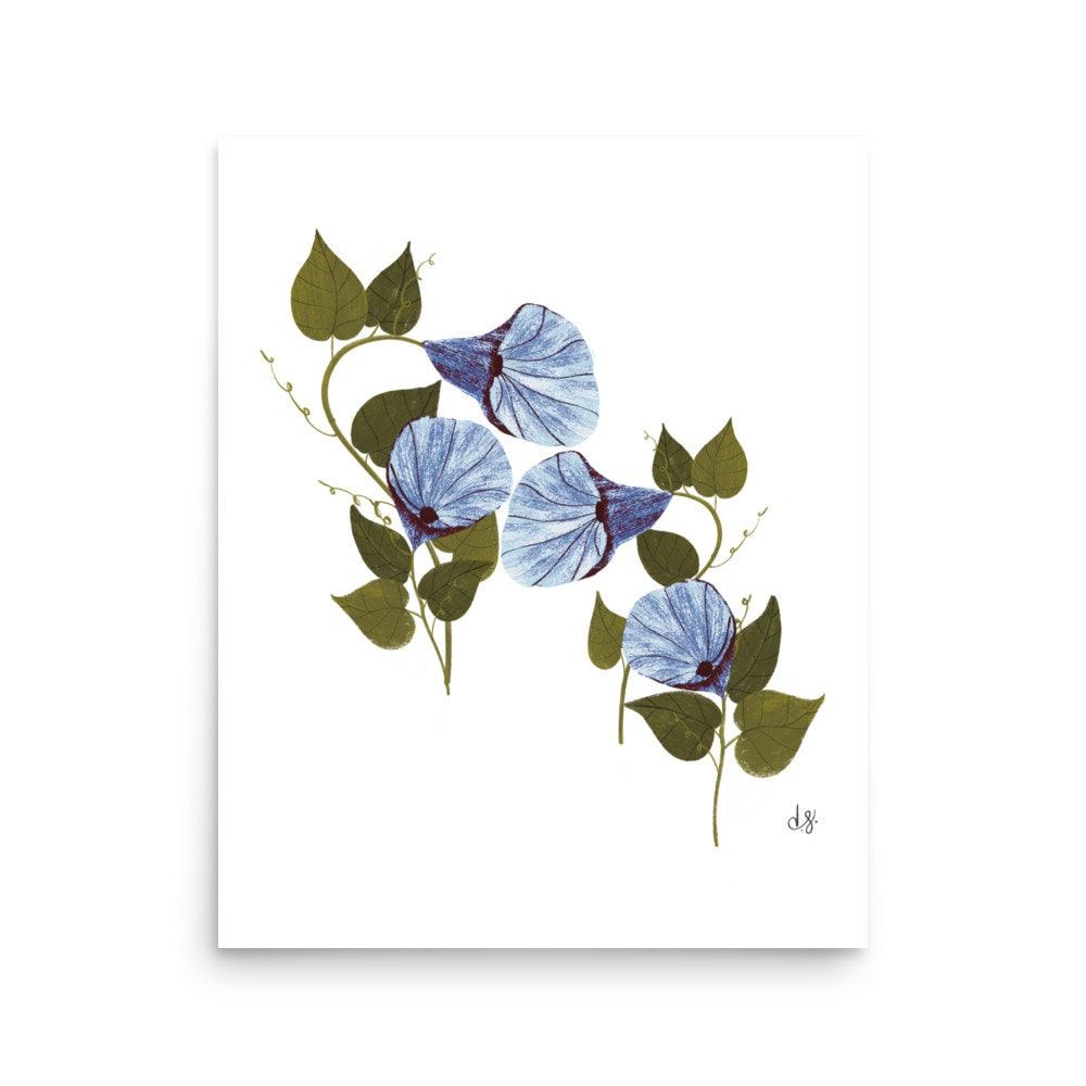 Botanical Print Collection