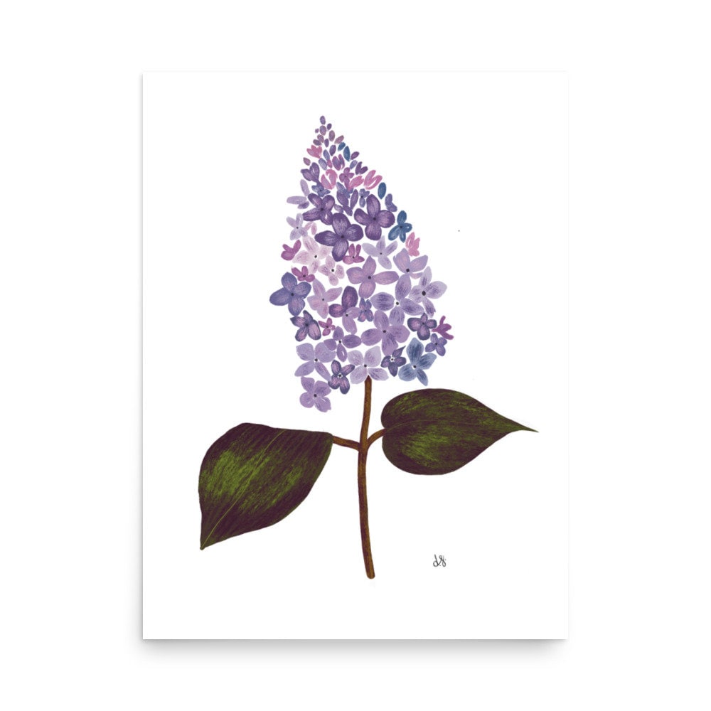 Botanical Print Collection