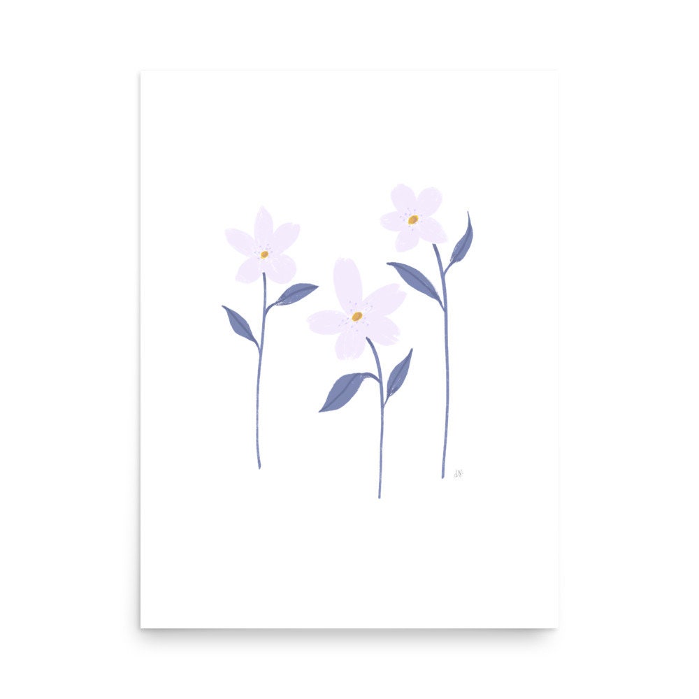 Botanical Print Collection