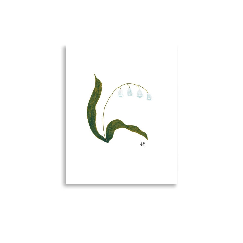 Botanical Print Collection