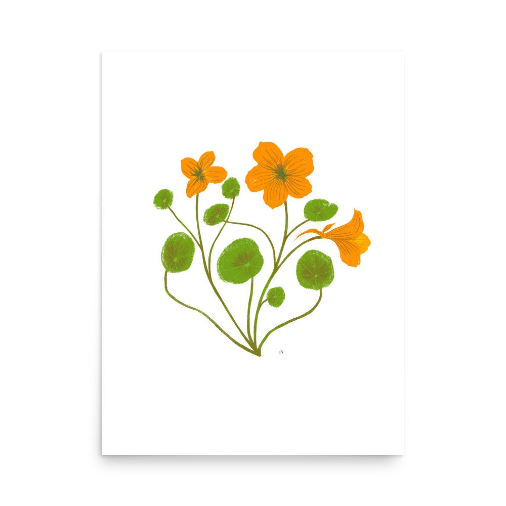 Botanical Print Collection
