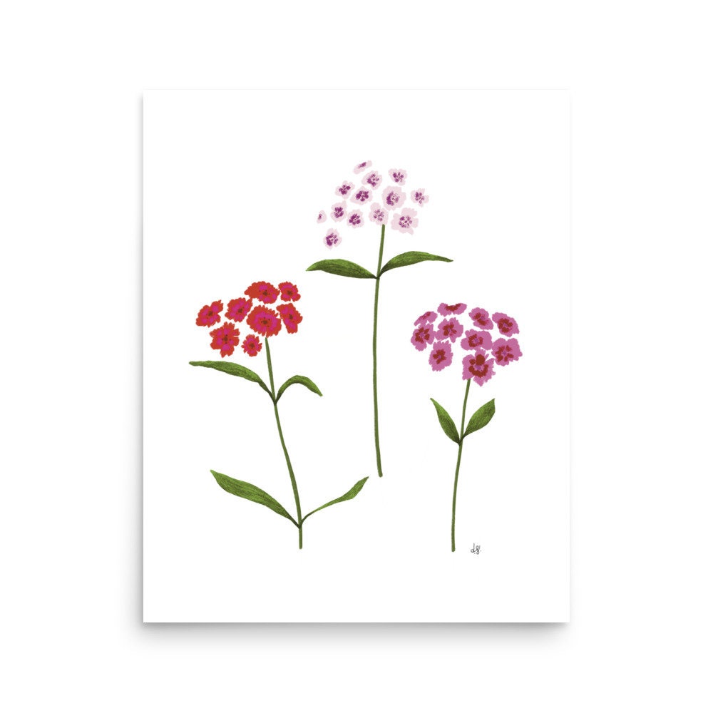 Botanical Print Collection
