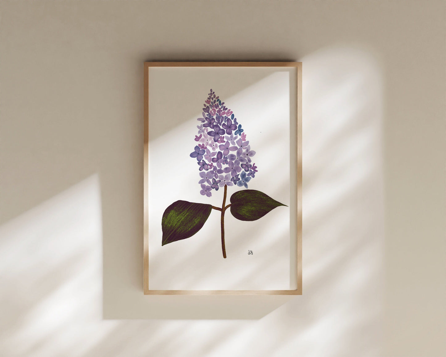 Botanical Print Collection