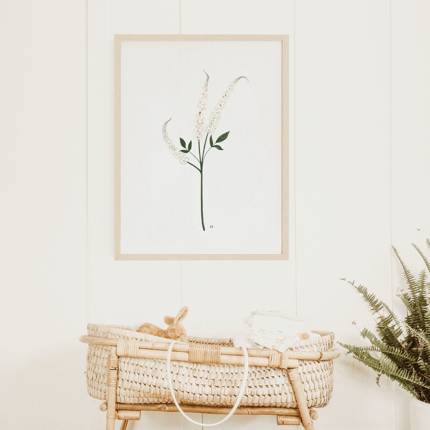 Botanical Print Collection