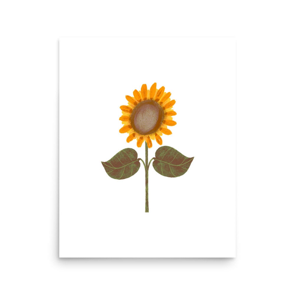 Botanical Print Collection