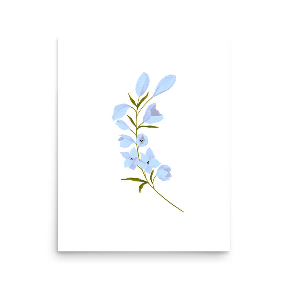 Botanical Print Collection