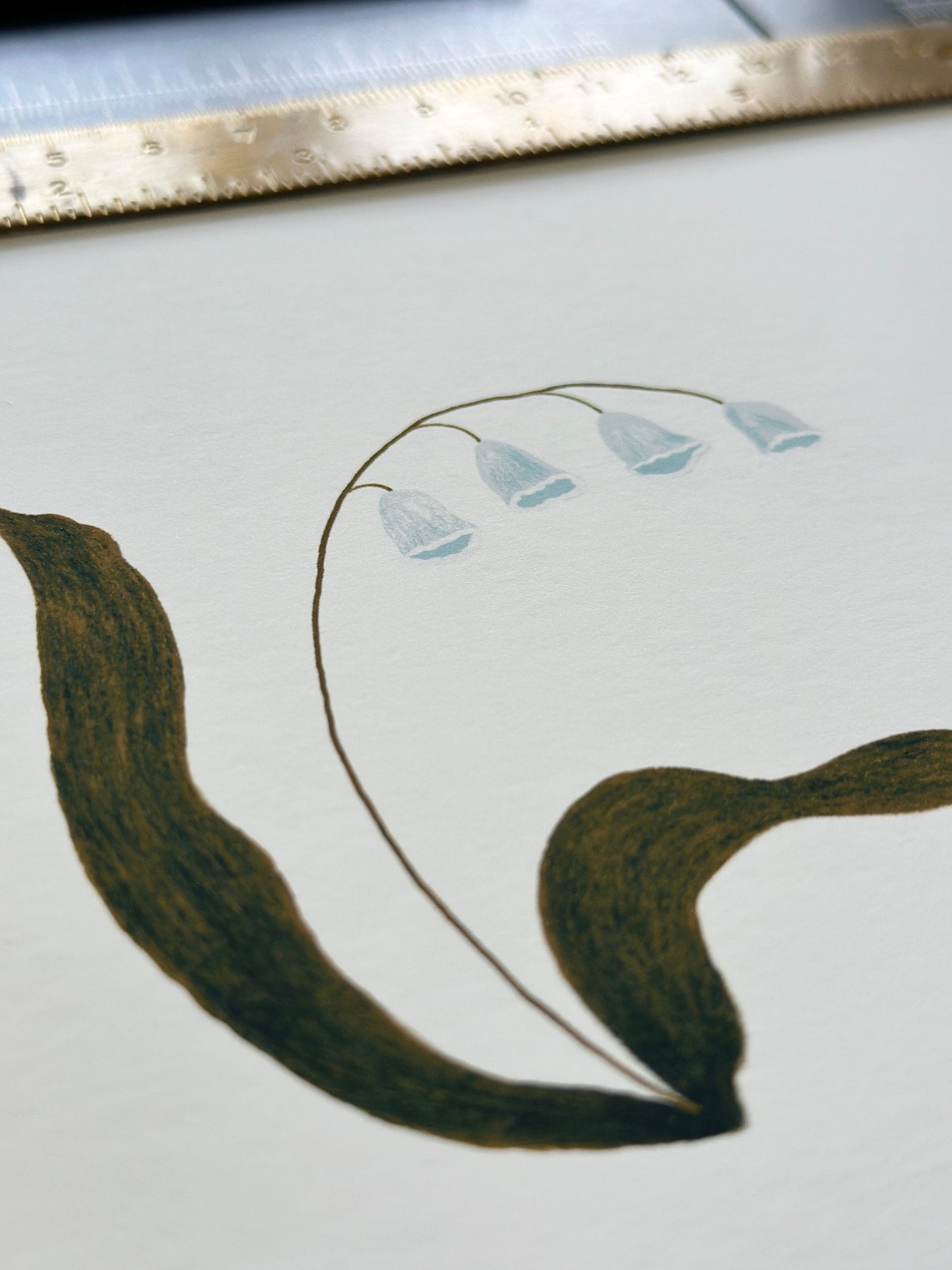 Botanical Print Collection