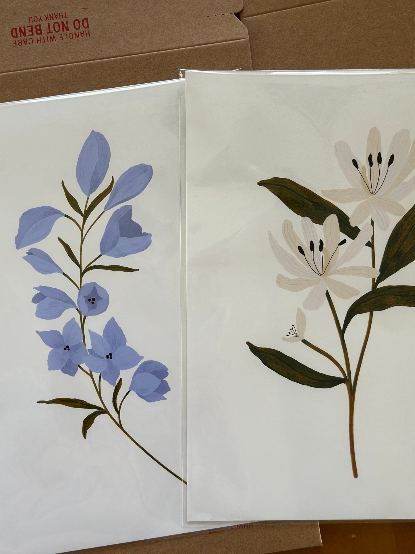 Botanical Print Collection