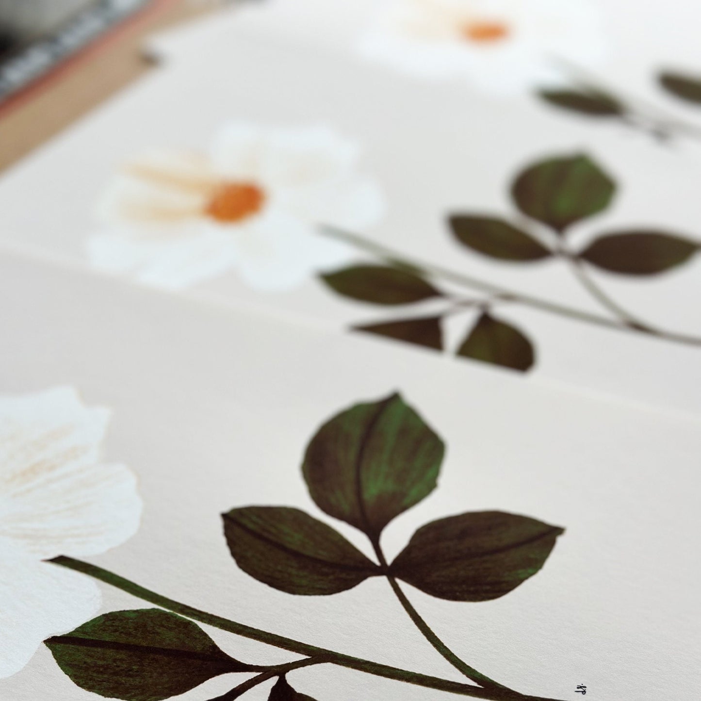 Cottage Rose Botanical Print