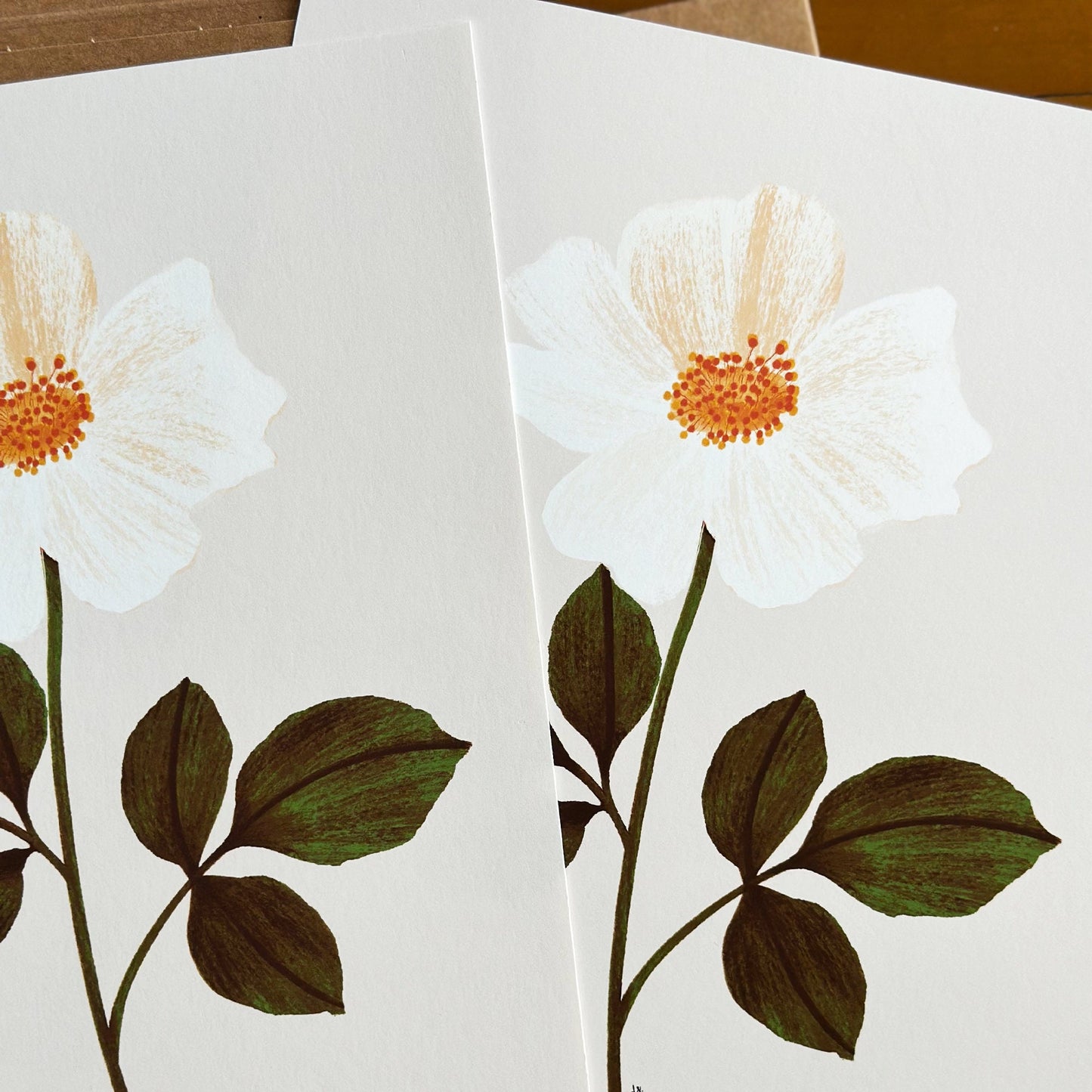 Cottage Rose Botanical Print