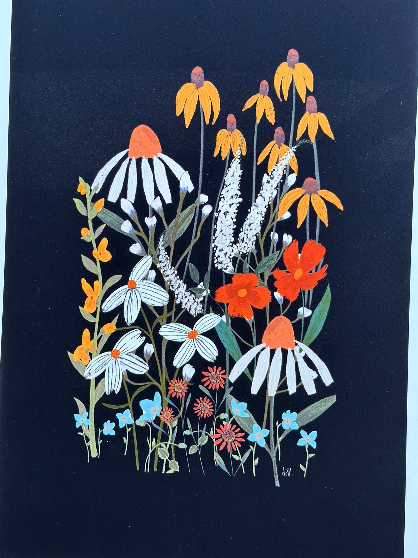 Botanical Print Collection