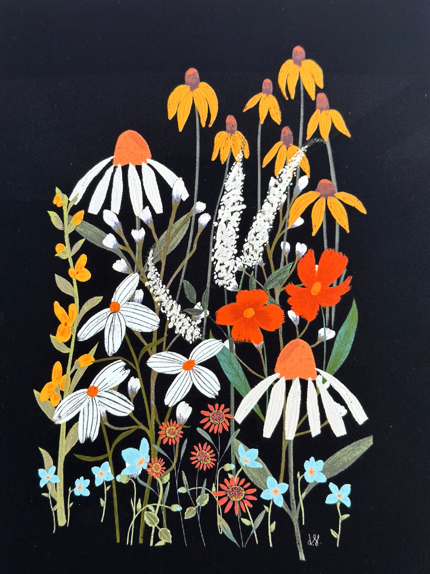 Botanical Print Collection