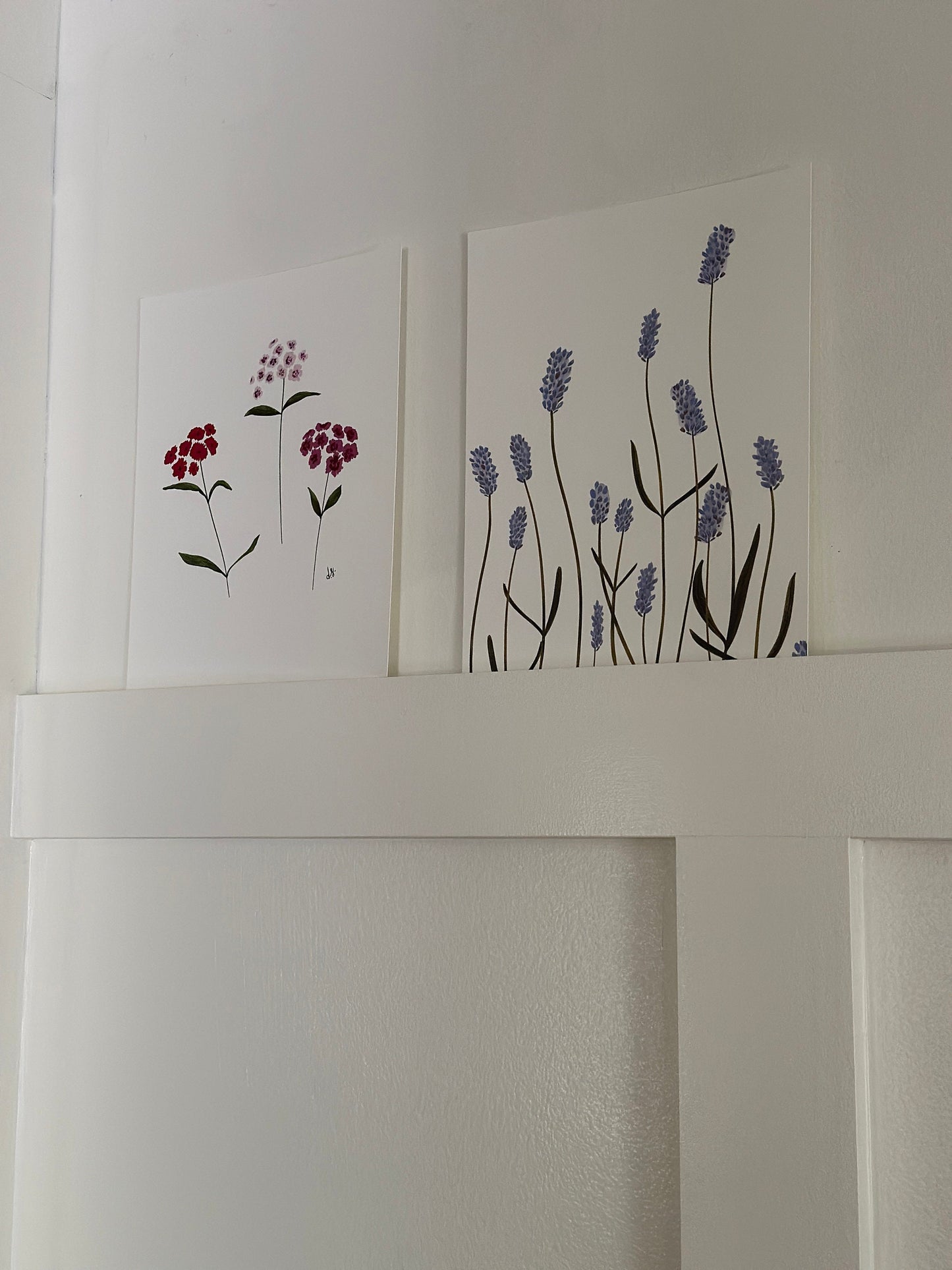 Botanical Print Collection