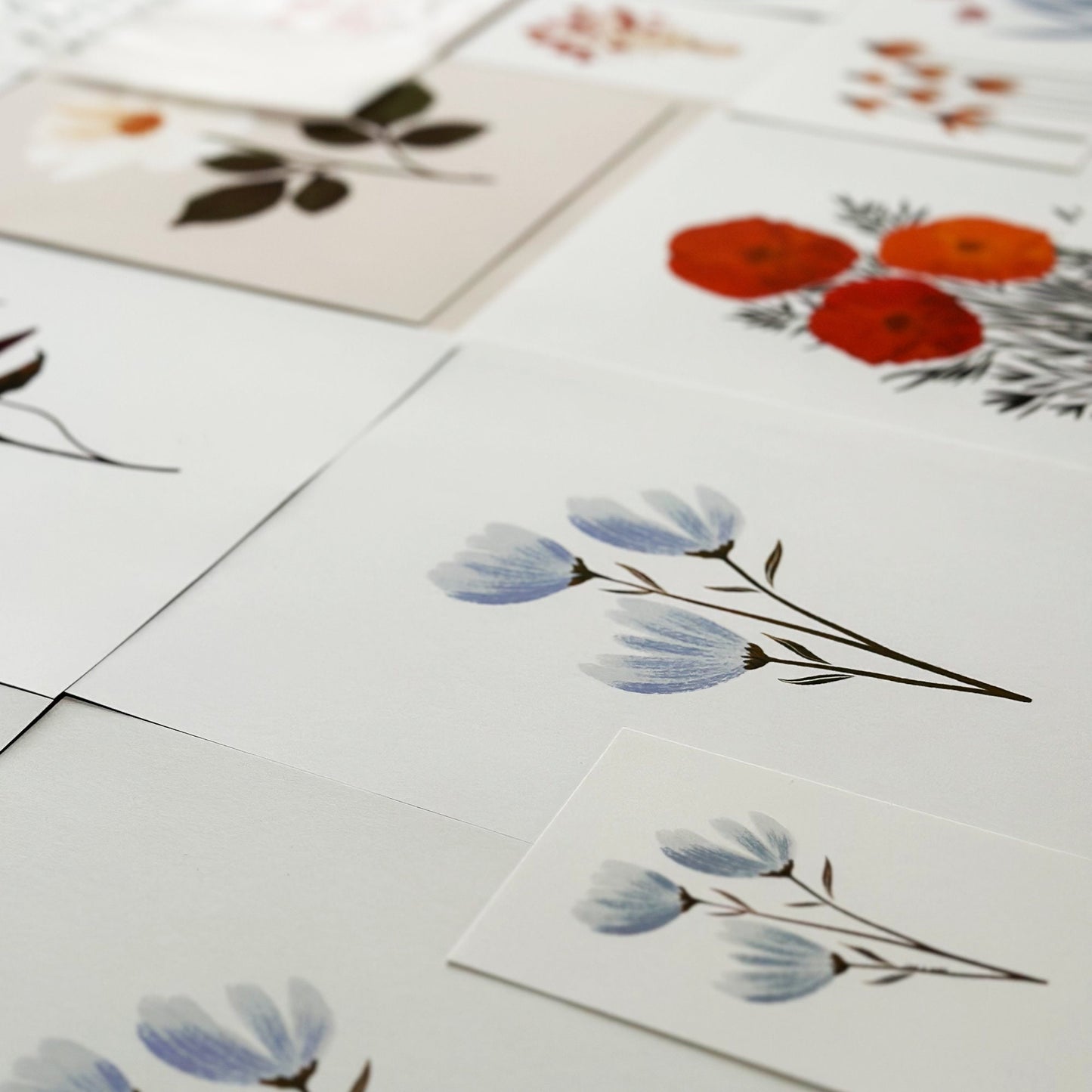 Botanical Print Collection