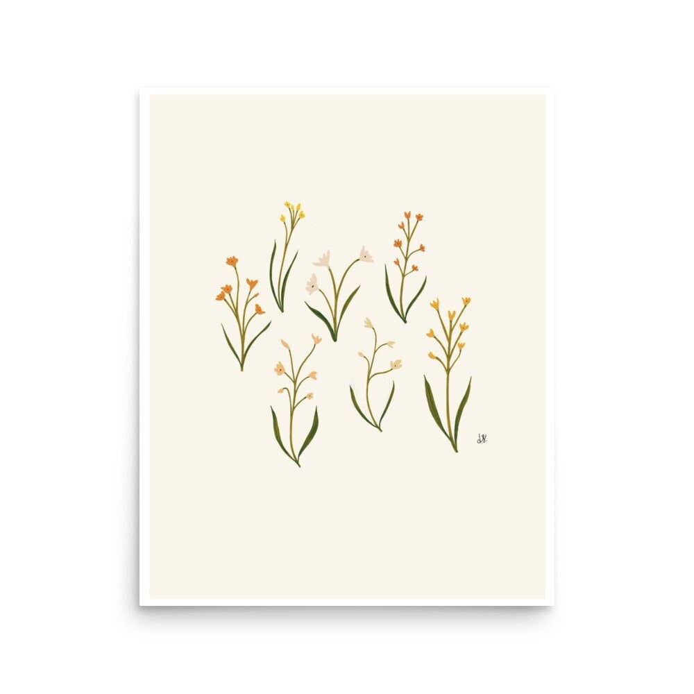 Botanical Print Collection