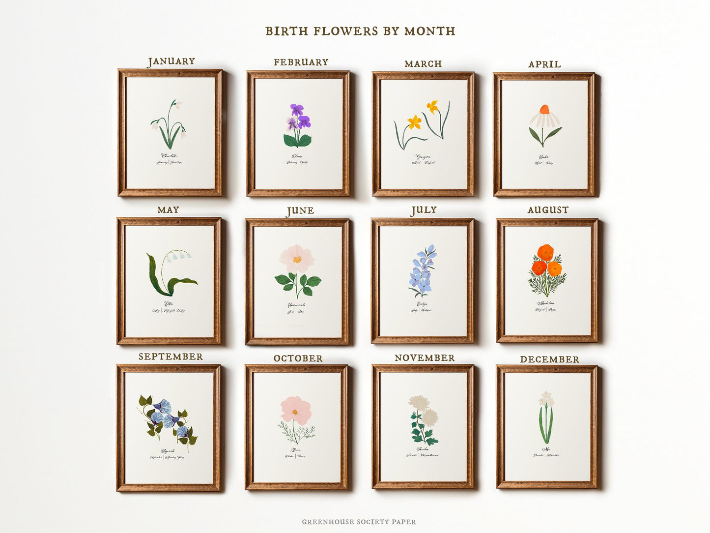 Birth Flower by month art in order January Snowdrop, Feb Violet, March Daffodil, AprilDaisy, May Lily of the Valley, June Rose, July Larkspur, August Poppy, Sept Morning Glory, Oct Cosmos, Nov Chrysanthemum, and Dec Paperwhite Narcissus.