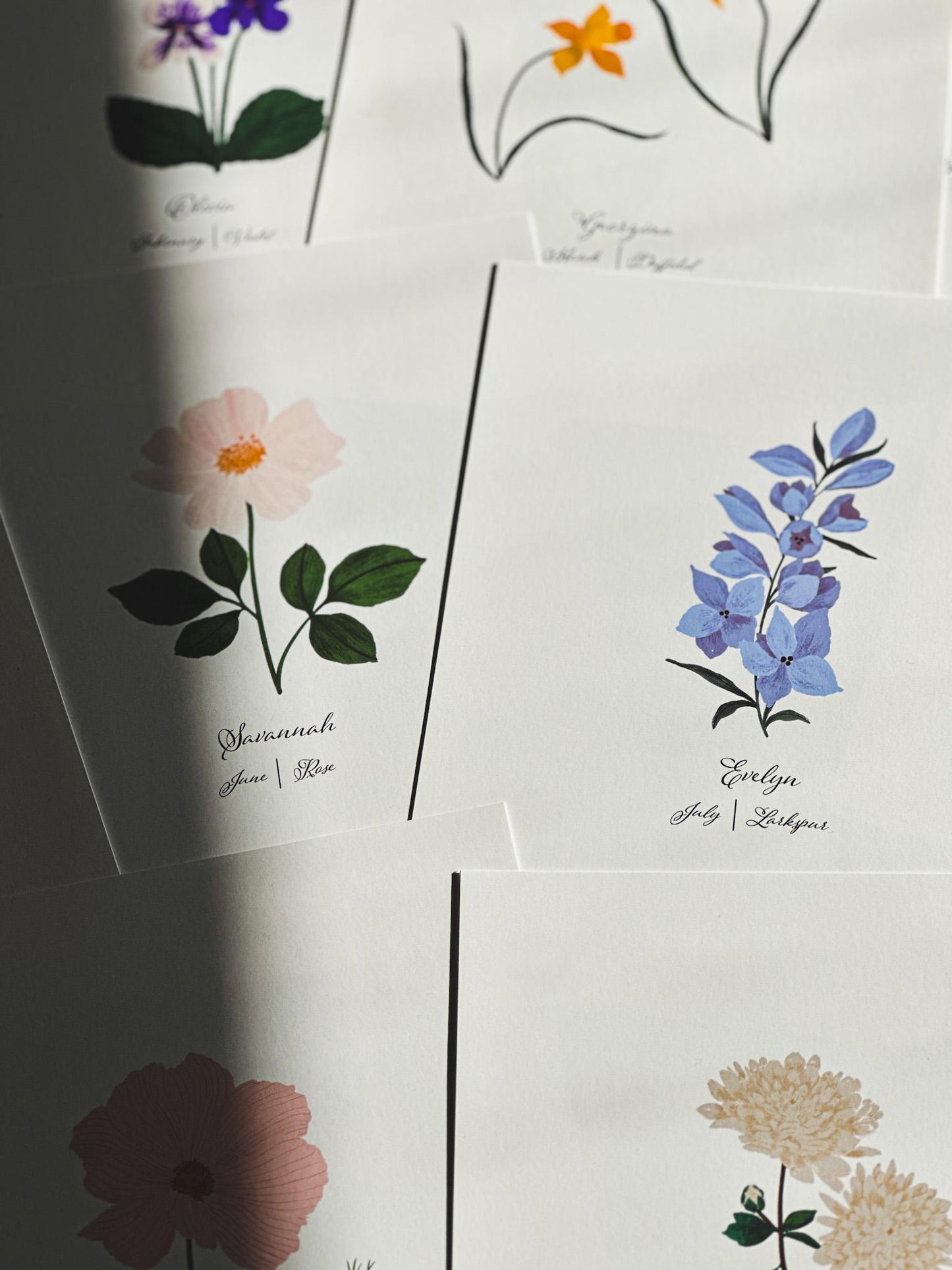 Personalized birth month flower gifts.  This image shows a custom birth flower art prints that are customized with the gift recipients name and flower for 
their birth month.  June’s birthday flower a light pink rose and July birth month the chambray blue larkspur botanical illustration.