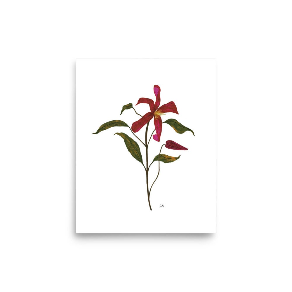 Clematis Flower Botanical Wall Art