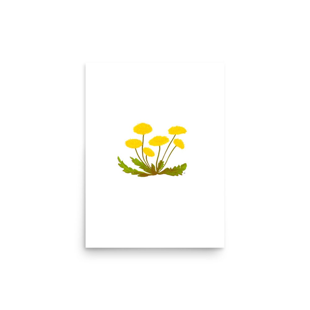 Dandelion Wall Art Print