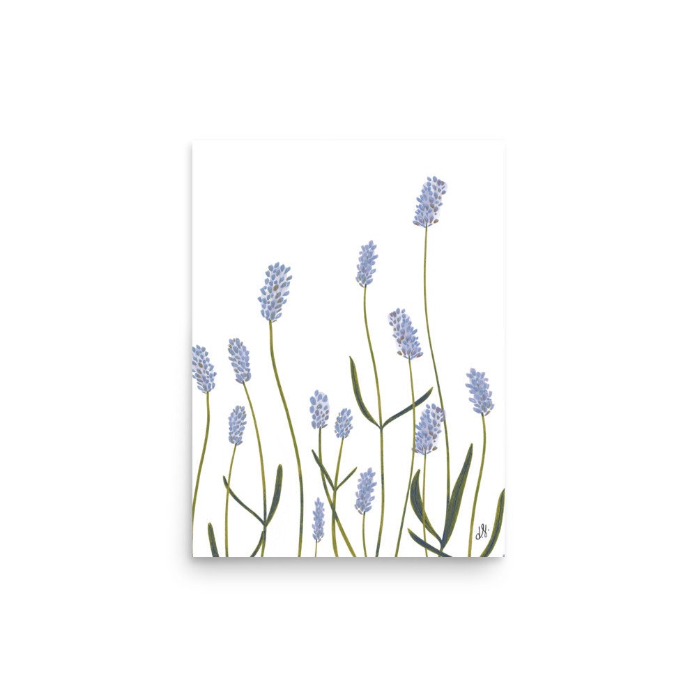 Lavender Botanical Print