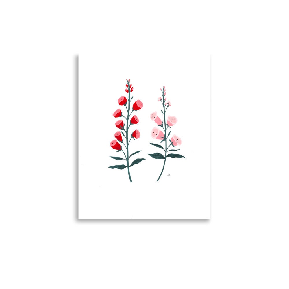 Foxglove Art Print