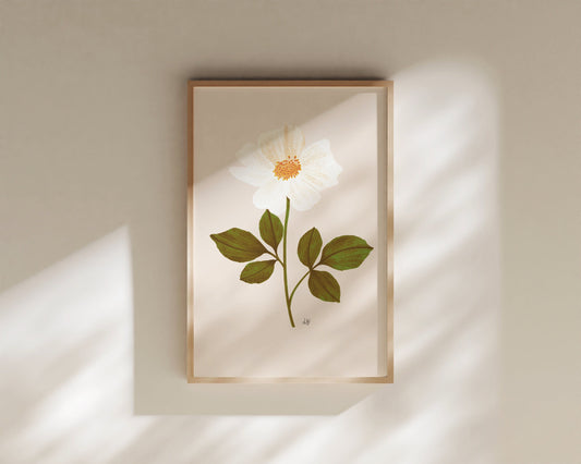 Cottage Rose Botanical Print