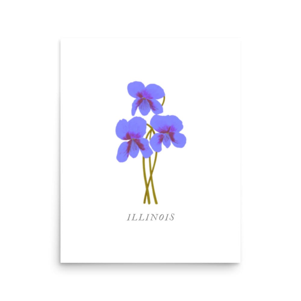 U.S. State Flower Collection