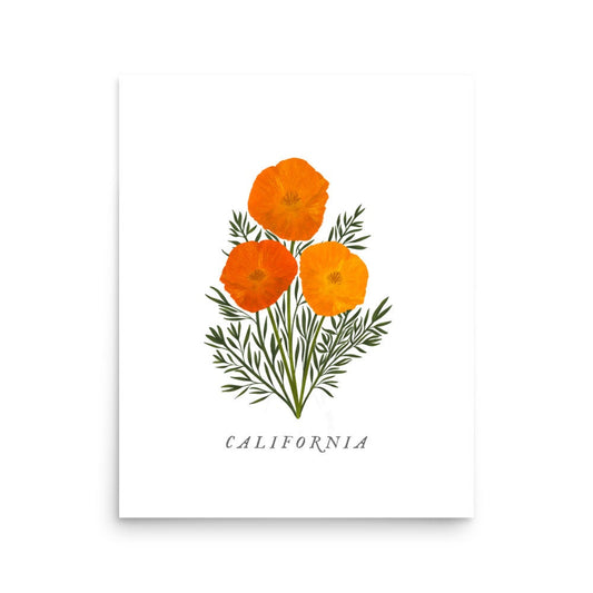 U.S. State Flower Collection