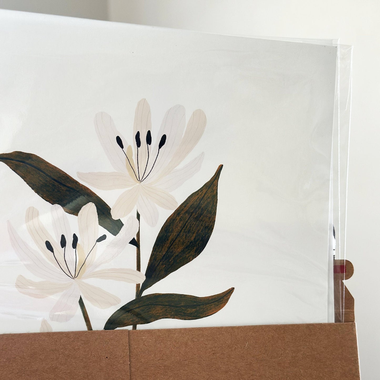 Honeysuckle Botanical Print