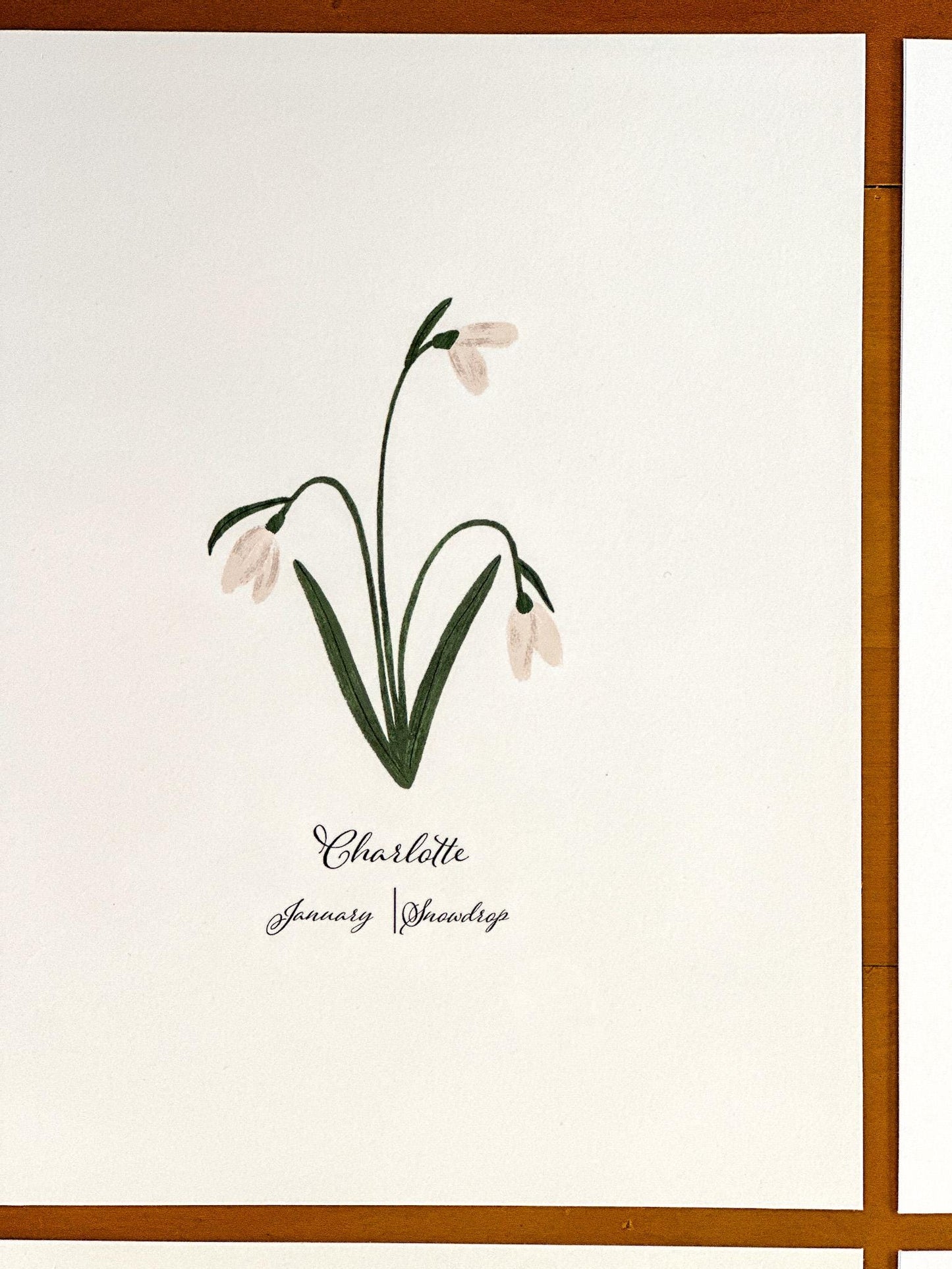 January Birth Flower Personalized Print Snowdrop