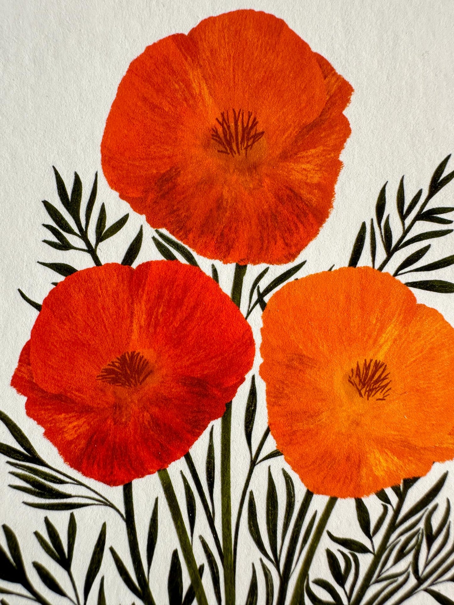 August Birth Flower Personalized Print Poppy